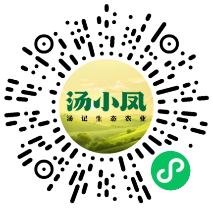 小程序二维码